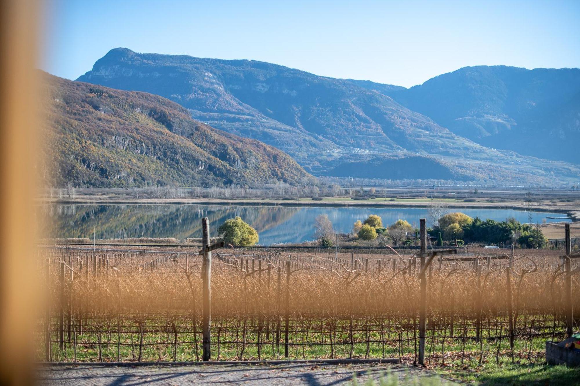 Weinhof Am See Кальдаро Экстерьер фото